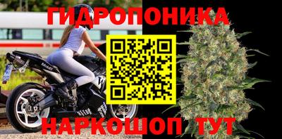 СК Партизанск