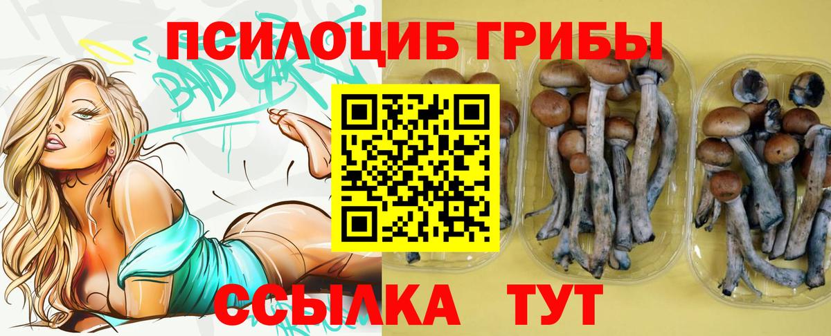 Гашиш  Пенза  Вход с VPN  COCAIN  MDMA  Где найти наркотики?  МАРИХУАНА  Меф МЯУ МЯУ кристаллы  ГАШИШ 