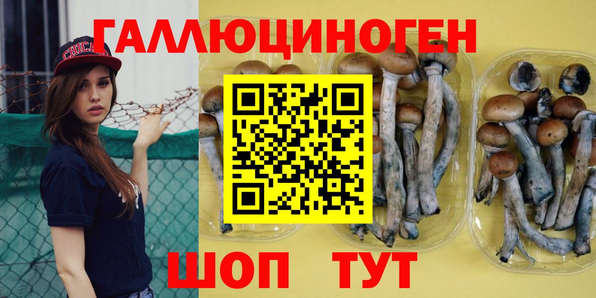 Пенза  Псилоцибиновые грибы Cubensis  Вход с VPN  Галлюциногенные грибы Cubensis 